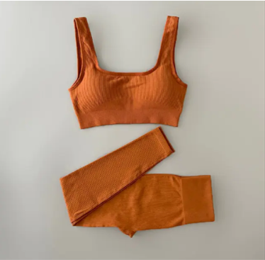 Two-piece Yoga Clothing Set with high-waisted, seamless leggings and a versatile, airy top for comfort and style during any workout.